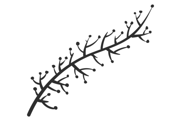Botany Branch: A Decorative Garden Plant for Your Designs