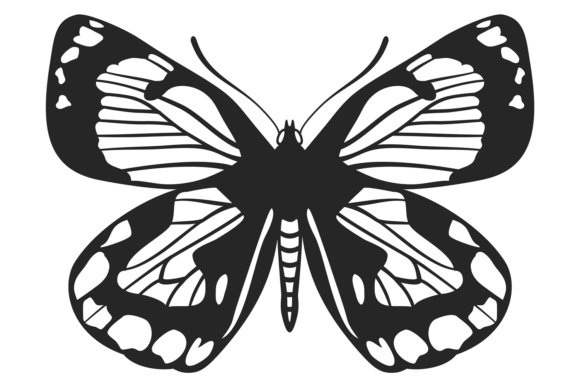 Summer Butterfly: Decorative Black Drawi Font Guide
